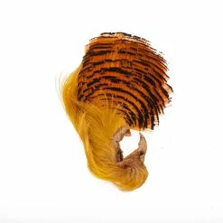 Eumer Kultafasaanin Pää