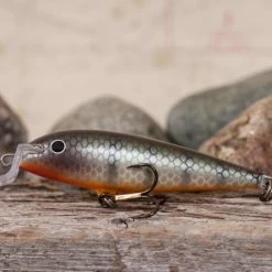 JAN70 – Vaappu, Väri:Mätökala