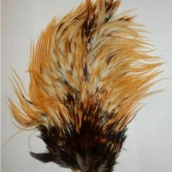 Ausable Hackle 2nd Grade -pintaperhosatula, Väri:Cream Brown