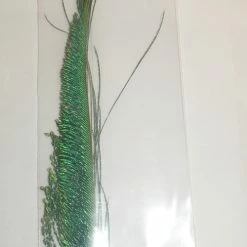 Eumer Riikinkukon Miekkahöyhen Pari