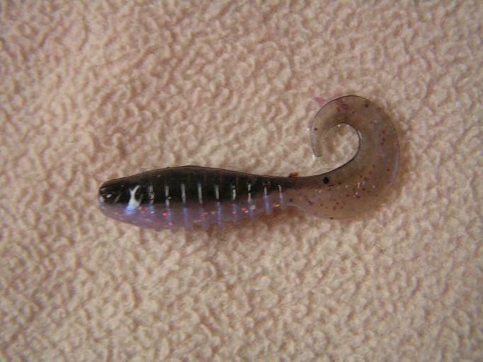 Berkley Flex Grub Shad 2″-jigit, Väri:Rainbow, 100g 3 Berkley Flex Grub Shad 2″-jigit, Väri:Rainbow, 100g