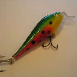 Eräkontio Kojamo -lohivaappu 10.