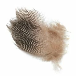 Wapsi Teal Barred Flank