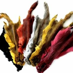 Future Fly Golden Squirrel