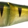 Sebile Magic Swimmer Soft 5″, SP29 -Perch