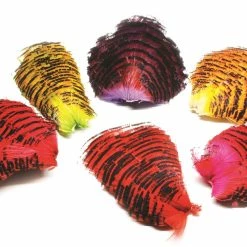 Wapsi Kultafasaanin Tippet