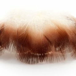 Veniard MALLARD DUCK DRAKE BROWN