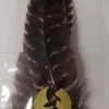 Veniard Turkey Broad Wing Quills, Natural Barred -Kelat Myynti ventubrwiqunb 1